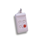 Skylink Keychain Transmitter 4B434