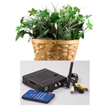 KJB Security SleuthGear Zone Shield Wireless Kit w/ PLANT CAM