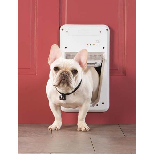 PetSafe automatic pet door
