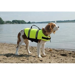 Life jackets are one of the easiest ways to protect your pet near water