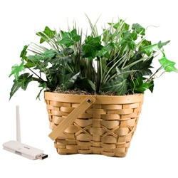 Digital Wireless Plant Camera and USB Receiver
