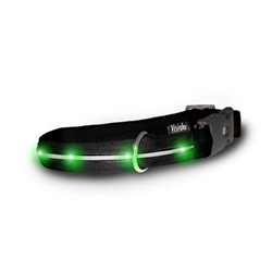 Visiglo Nylon Collar w/ LED Lights- Black