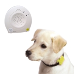 Safety Turtle PET Immersion Alarm Kit - Yellow