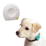 Safety Turtle PET Immersion Alarm Kit - Green