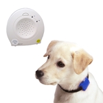 Safety Turtle PET Immersion Alarm Kit - Blue