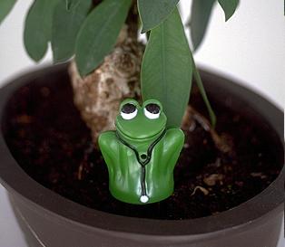 P3 International Dr. Frog