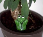 Plant Moisture Monitor (Indoor) - Dr. Frog