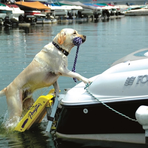Pawz Pets Doggy Boat Ladder