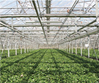 Sensaphone Applications: Greenhouse