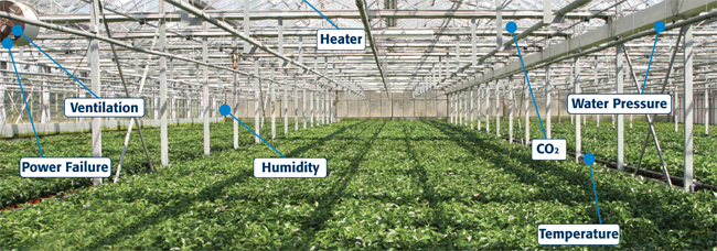 Sensaphone Applications: Greenhouse