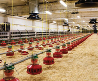 Sensaphone Applications: Livestock