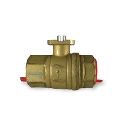 WaterCop Water Shut-Off Valve, Lead Free