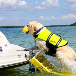 Paws aboard doggy boat ladder Clearance