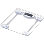 Taylor 7527 Digital Glass Bath Scale