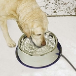 K&H Pet Products Stainless Steel Thermal Bowl