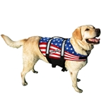 Pawz Pet Products Nylon Dog Life Jacket Flag