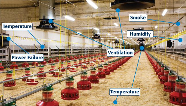 Sensaphone Applications: Livestock